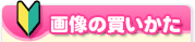 画像の買い方